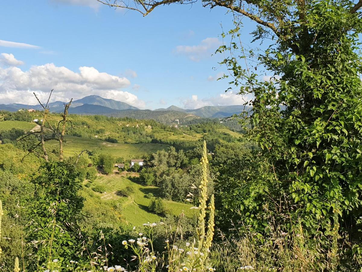 Agriturismo Il Burlino Apartments Lerma Bagian luar foto